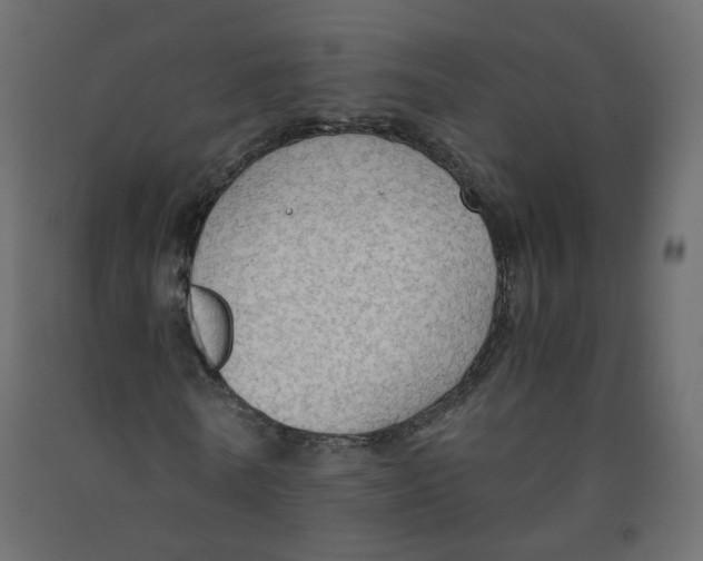 X0000091960770200710041027