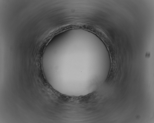 X0000091960773200710041027