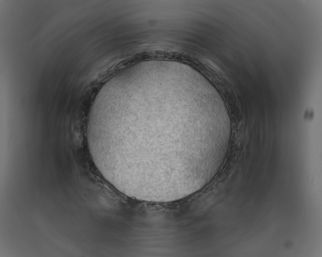 X0000091960774200710041027