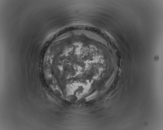 X0000091960775200710041027