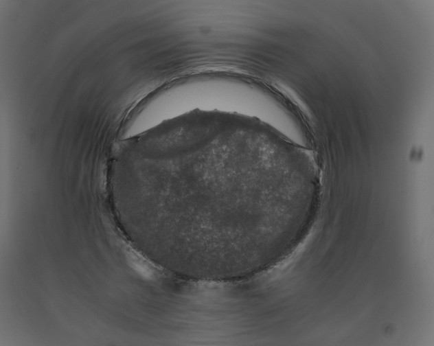 X0000091960777200710041027