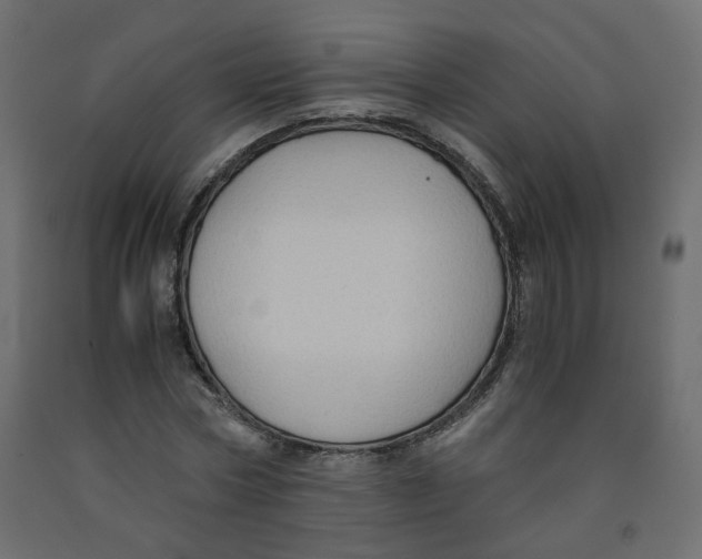 X0000091960778200710041027