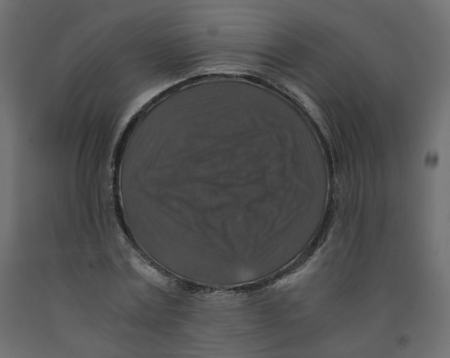 X0000091960779200710041027