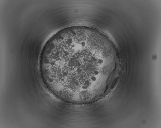 X0000091960780200710041027