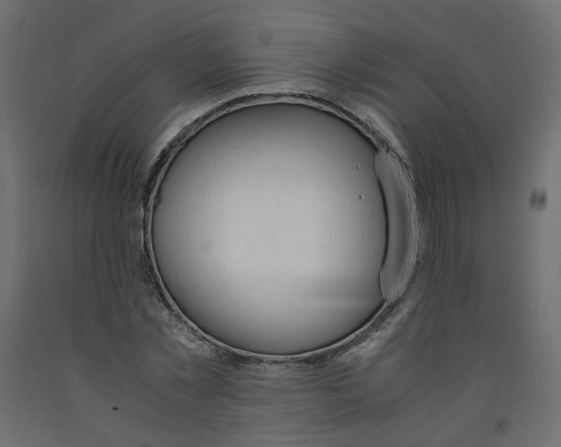 X0000091960781200710041027