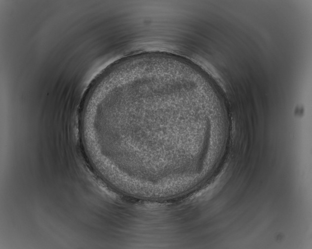 X0000091960782200710041027