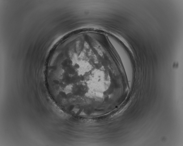 X0000091960783200710041027