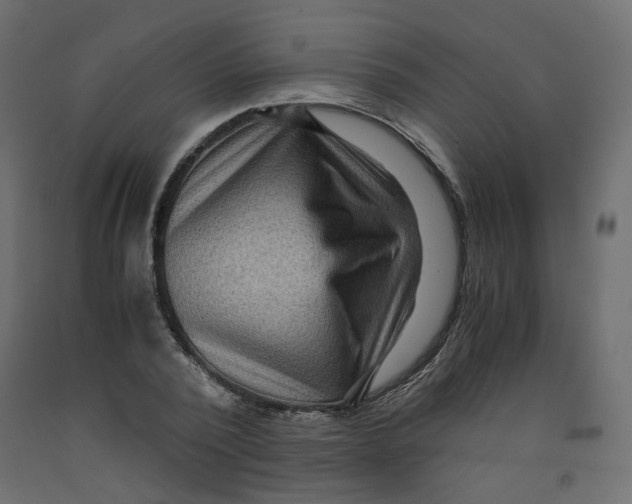 X0000091960784200710041027