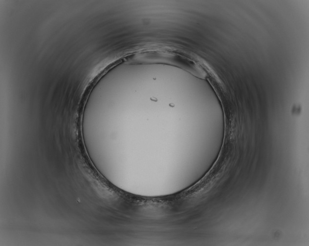 X0000091960786200710041027