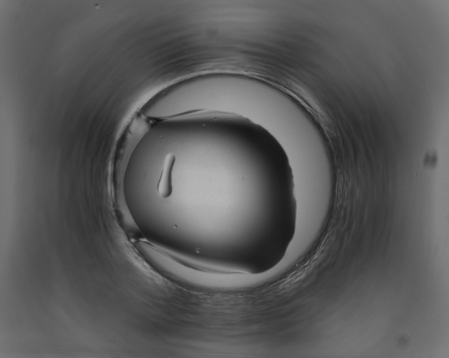 X0000091960788200710041027