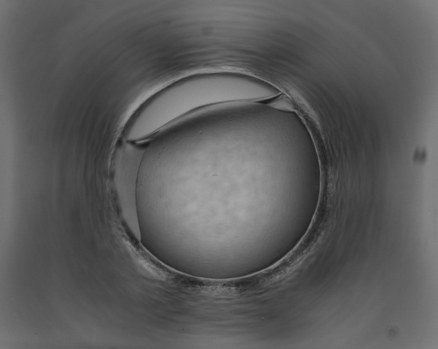 X0000091960789200710041027