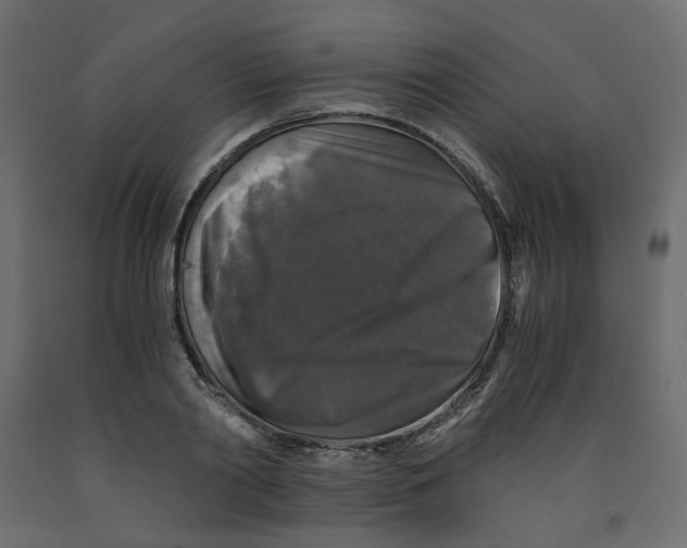 X0000091960790200710041027
