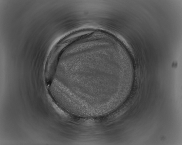 X0000091960791200710041027
