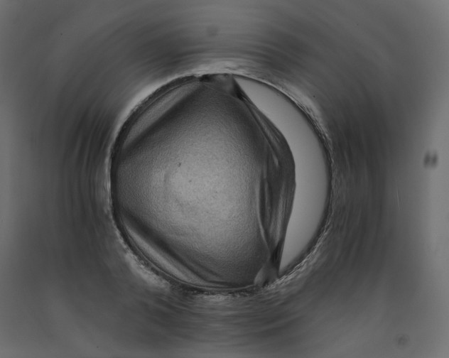 X0000091960792200710041027