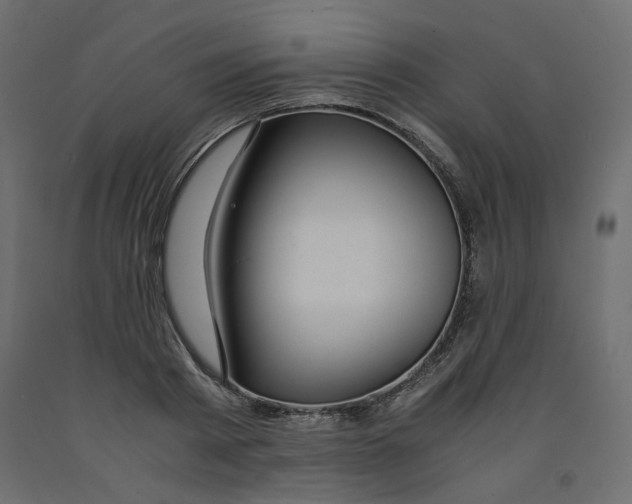 X0000091960793200710041027