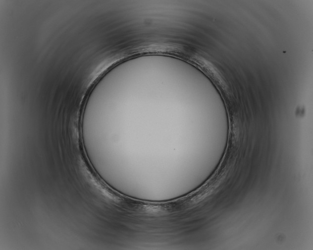 X0000091960794200710041027