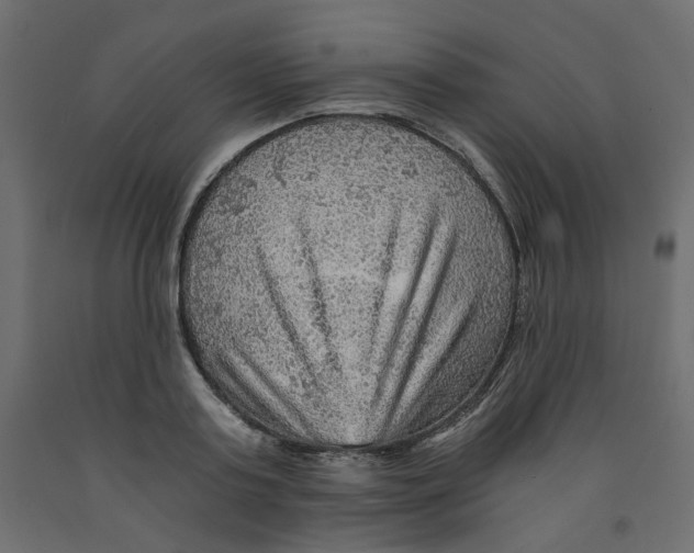 X0000091960795200710041027