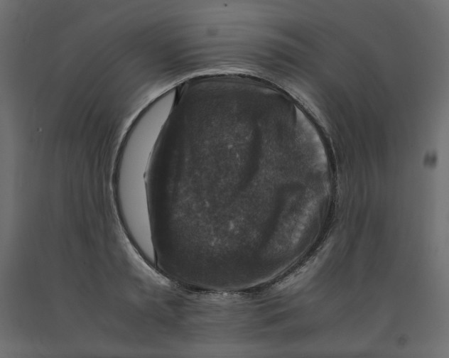 X0000091960797200710041027