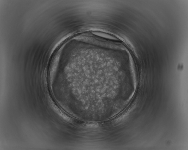 X0000091960798200710041027