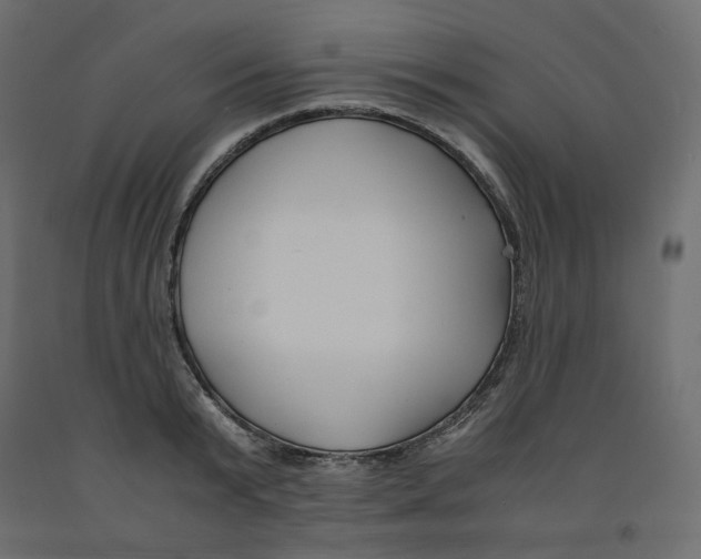 X0000091960799200710041027