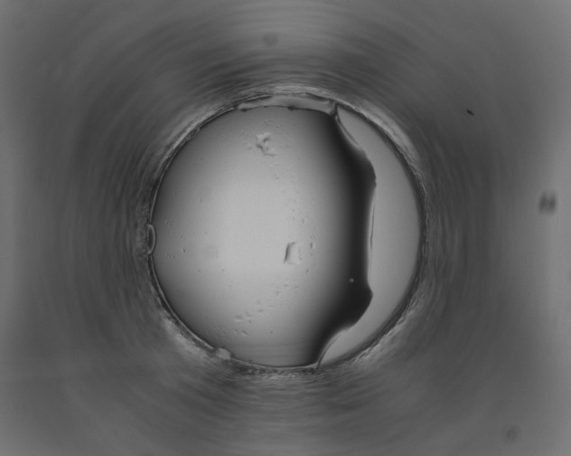 X0000091960801200710041027