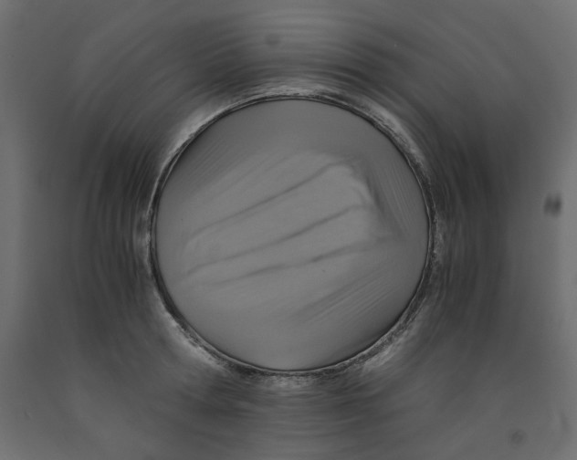 X0000091960802200710041027