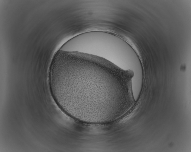 X0000091960803200710041027