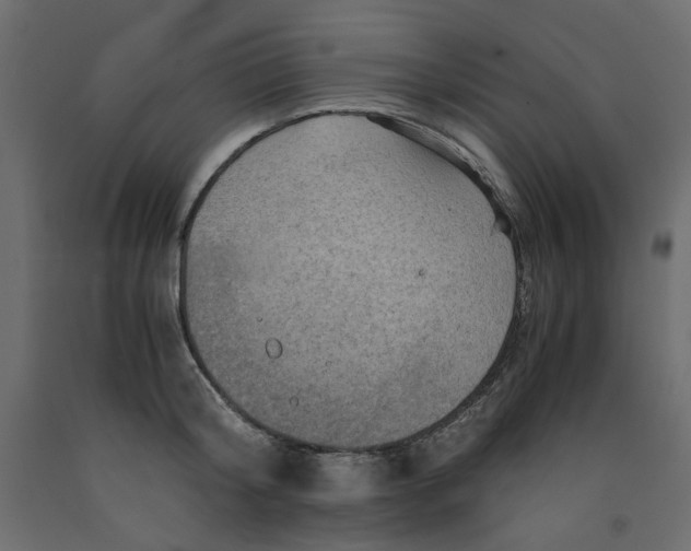 X0000091960804200710041027