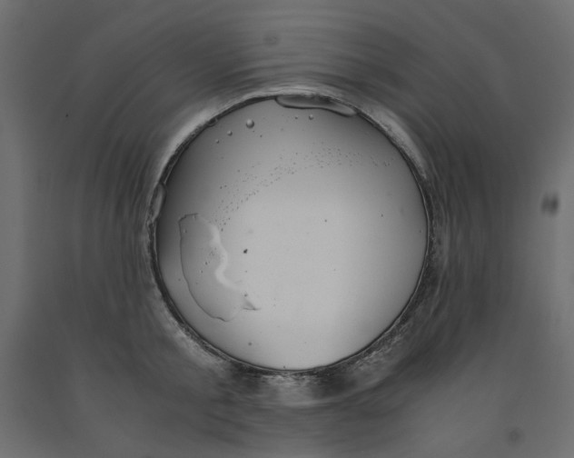 X0000091960805200710041027