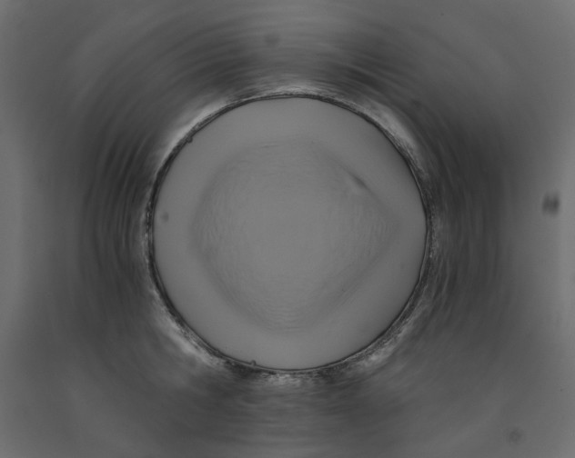 X0000091960806200710041027