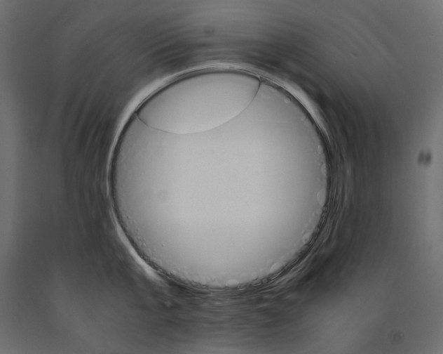 X0000091960807200710041027