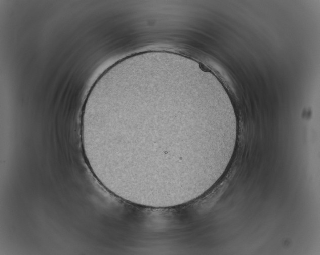 X0000091960808200710041027