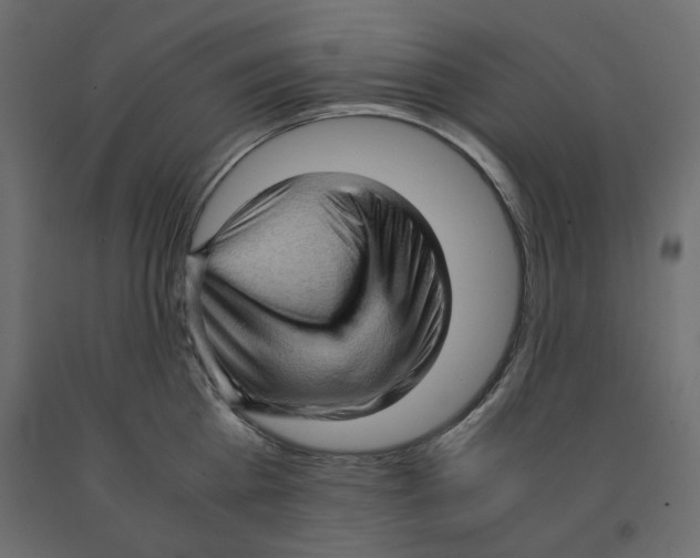 X0000091960809200710041027
