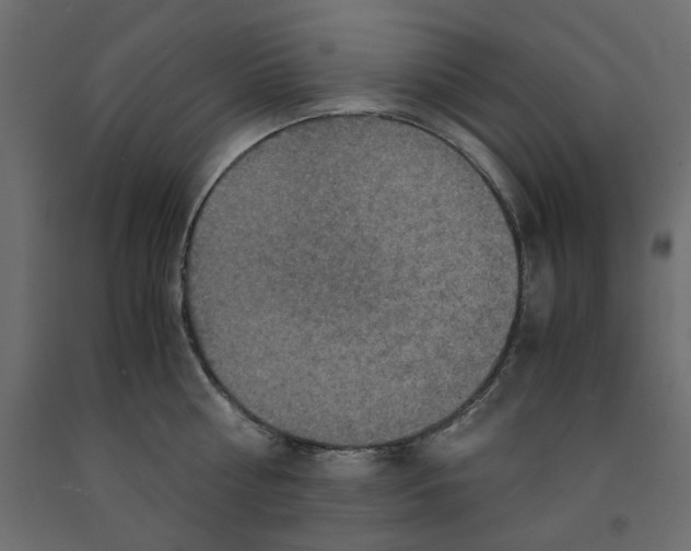 X0000091960810200710041027