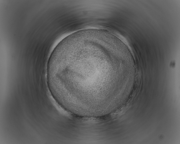 X0000091960811200710041027