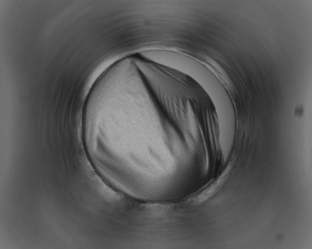 X0000091960812200710041027