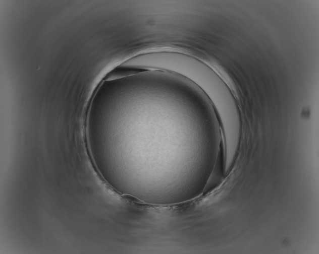 X0000091960813200710041027