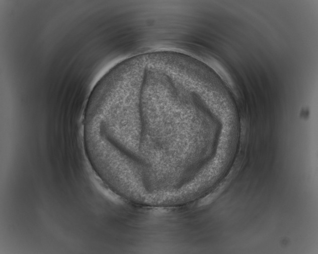 X0000091960814200710041027