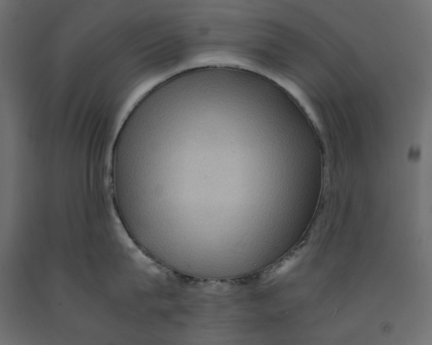 X0000091960815200710041027