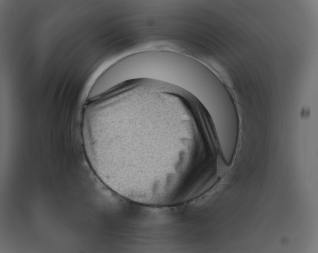 X0000091960816200710041027