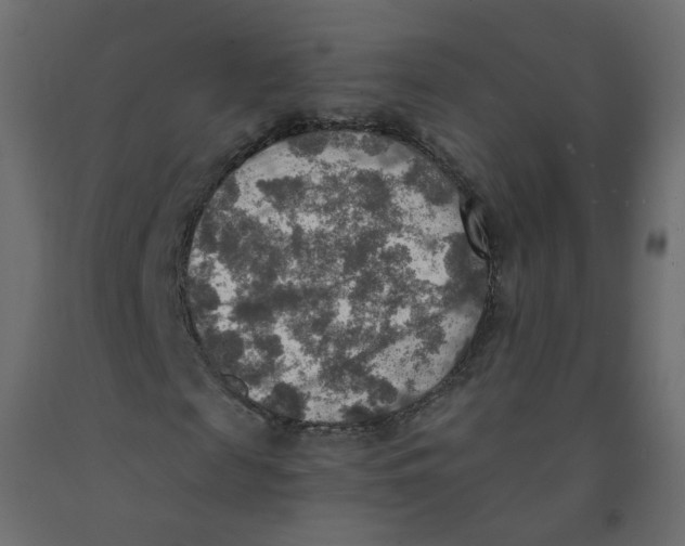 X0000091960817200710041026