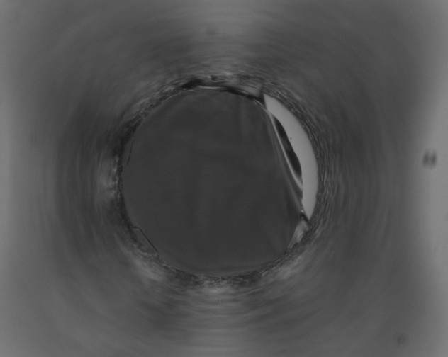 X0000091960818200710041026