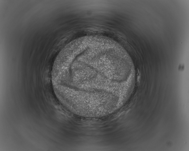 X0000091960819200710041026