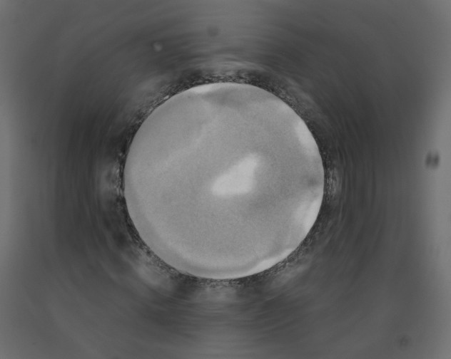 X0000091960820200710041026
