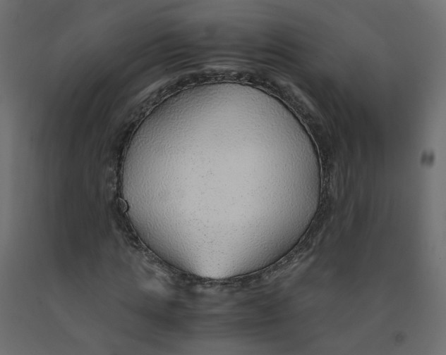 X0000091960821200710041026