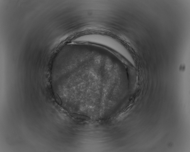 X0000091960822200710041026