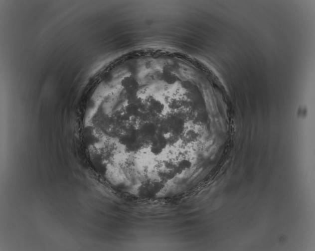 X0000091960823200710041026