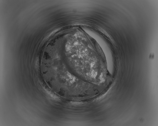 X0000091960825200710041026