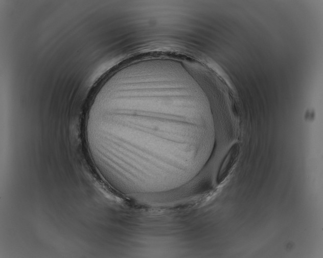 X0000091960826200710041026
