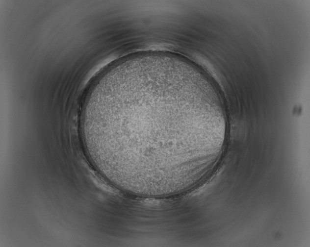 X0000091960827200710041026